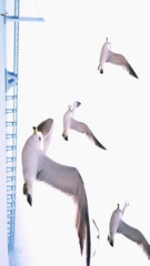 6218C1DD-3CAC-44D9-830A-730C87A54656/L0/001