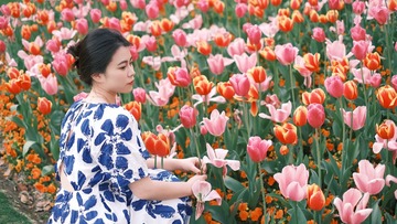 FC4FF4AC-2529-470C-87A3-BDD11A41B5BF/L0/001