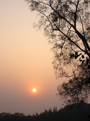 温暖的夕阳