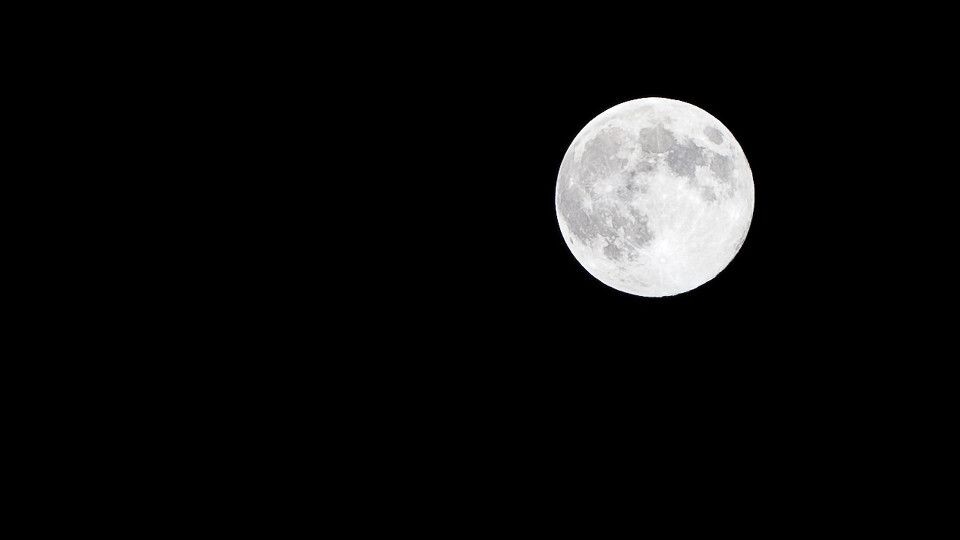 Mr Moon<br />
2011年中秋