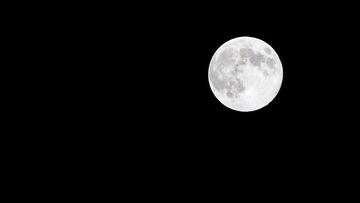 Mr Moon