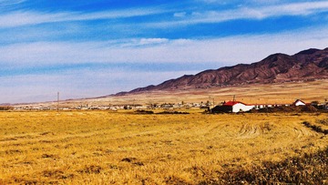 IMG_9039.jpg