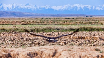 IMG_9048.jpg