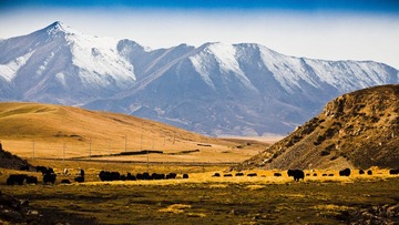 IMG_9069.jpg