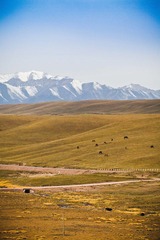 IMG_9079.jpg
