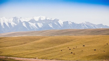 IMG_9080.jpg