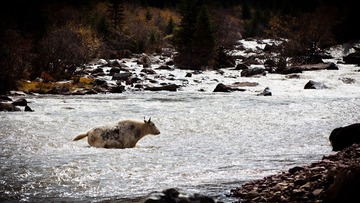 IMG_9149.jpg