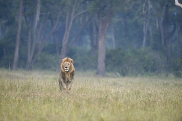 IMG_9529.jpg