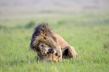 IMG_9645.jpg