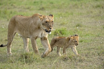 IMG_9694.jpg
