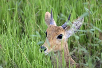 IMG_9857.jpg