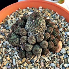 2014-06-12 175839(2)