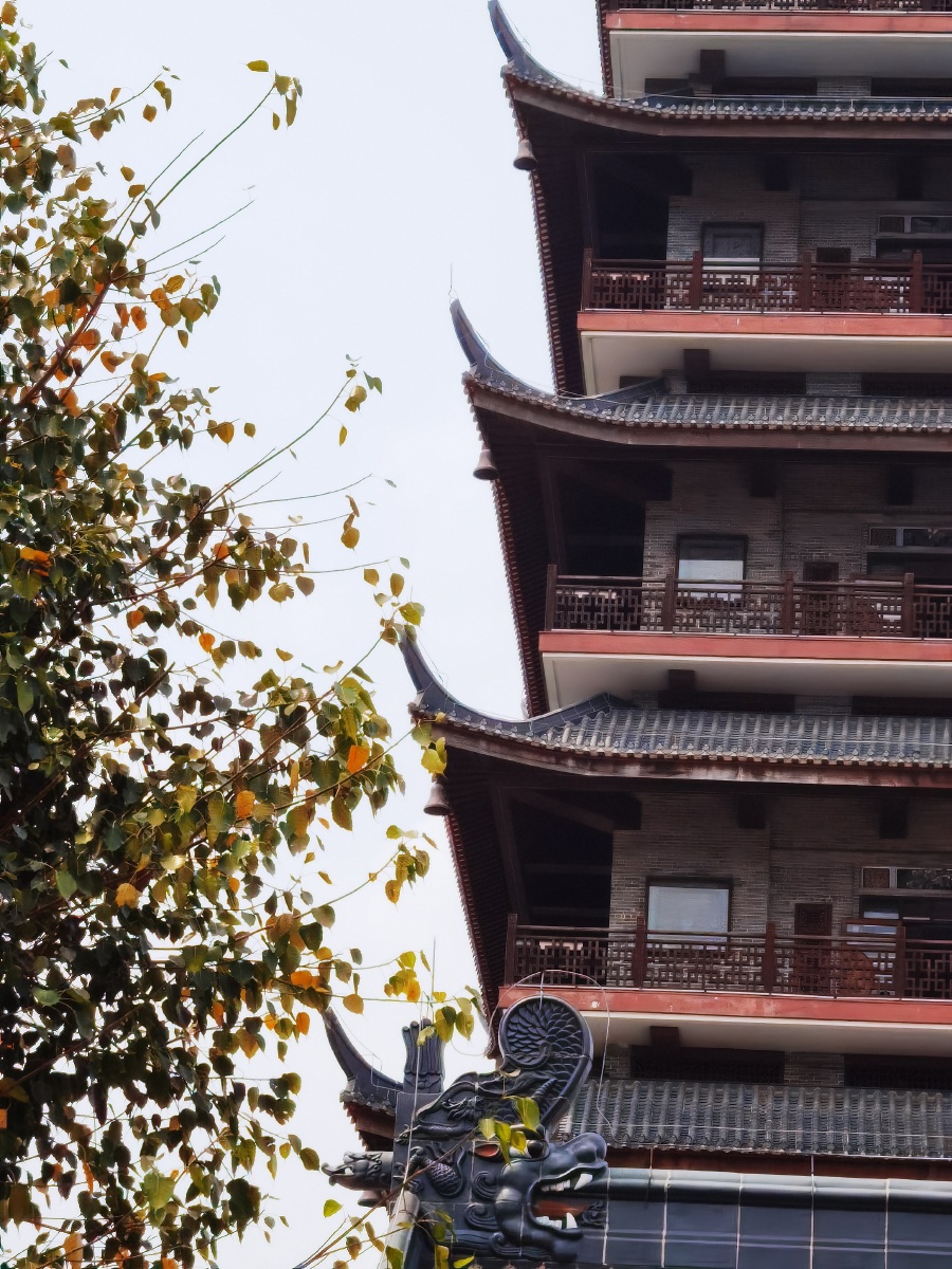 佛山南海桂城虫雷岗公园魁星阁掠影