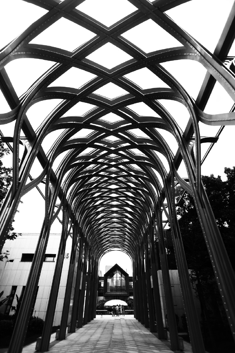 韵律乐章节奏戚伟雄摄于广东佛山南海