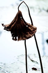 104062