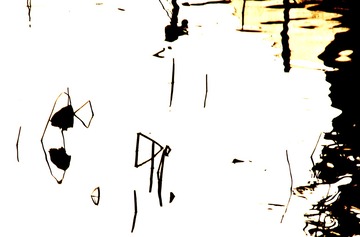 16426