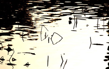 16419