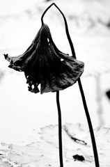 104061