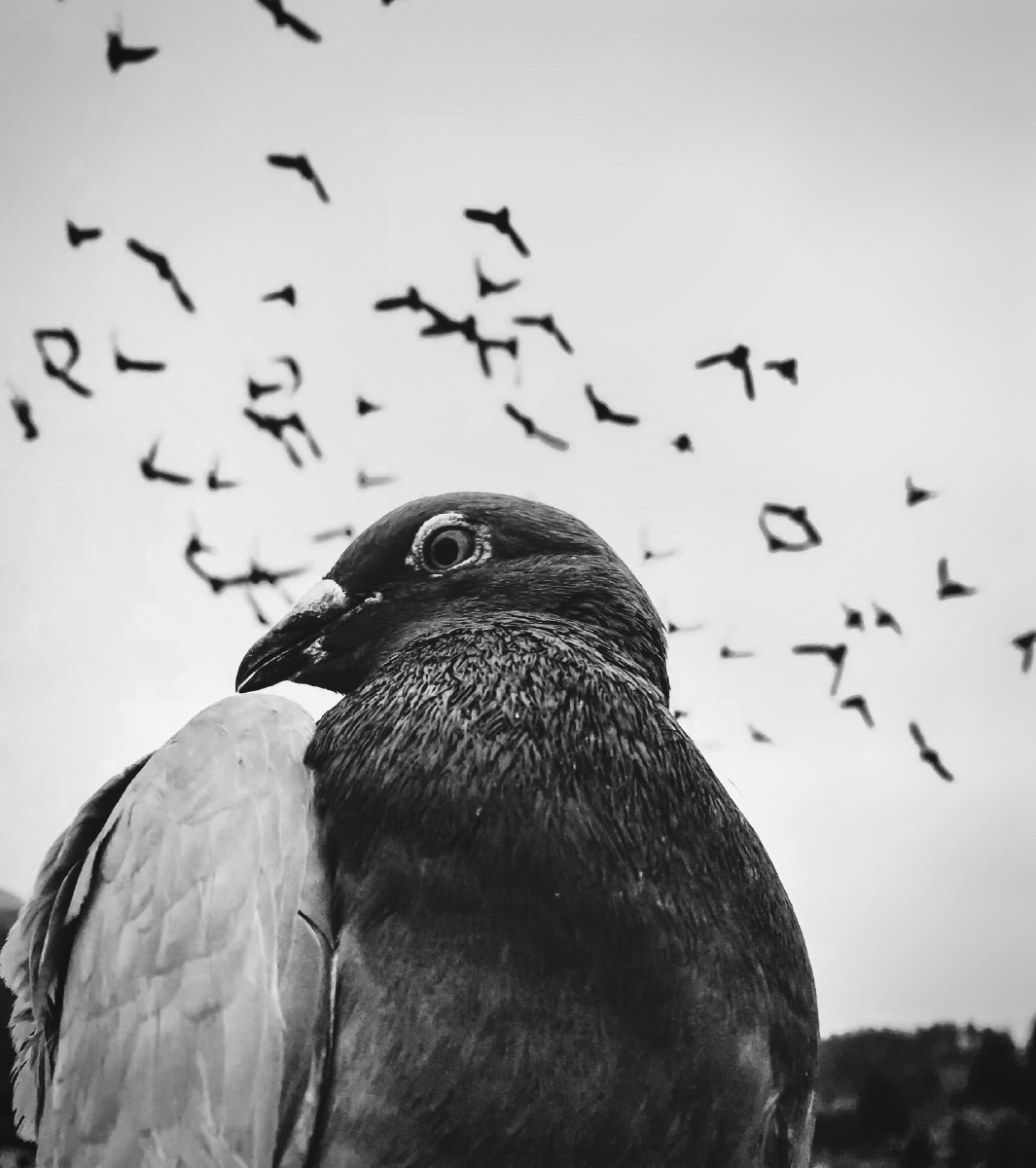 哈哈哈就这这时抓拍了这一瞬间每一张照片都有它背后的故事那才是灵魂