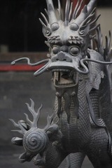 龙