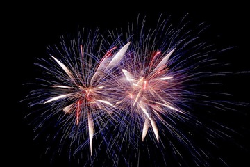 IMG_4751.JPG