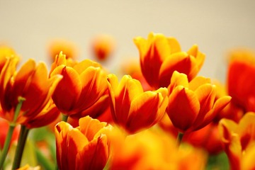 IMG_5306.JPG