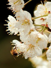 IMG_5658.JPG