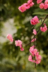 IMG_5730.JPG
