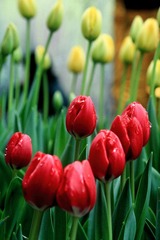 IMG_6055.JPG