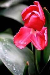 IMG_6083.JPG