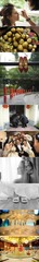 DSC_7646副本1.jpg