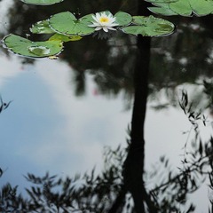 DSC_7847副本.jpg