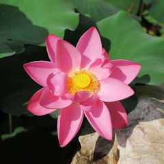 DSC_7918副本.jpg