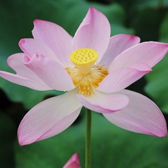 DSC_8080副本.jpg