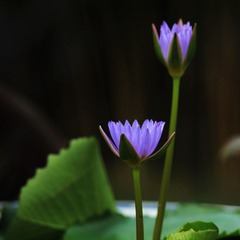 DSC_8104副本－2.jpg