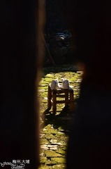 DSC_4730.JPG
