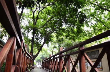 Water Luo_春色满村_延伸