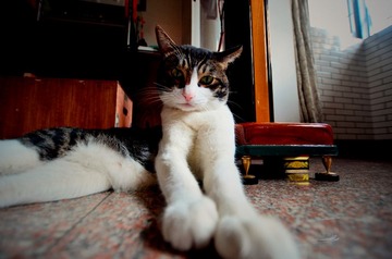 _DSC0137_副本.jpg