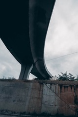 241504
