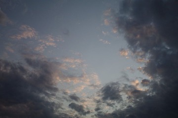 IMGP5458.JPG