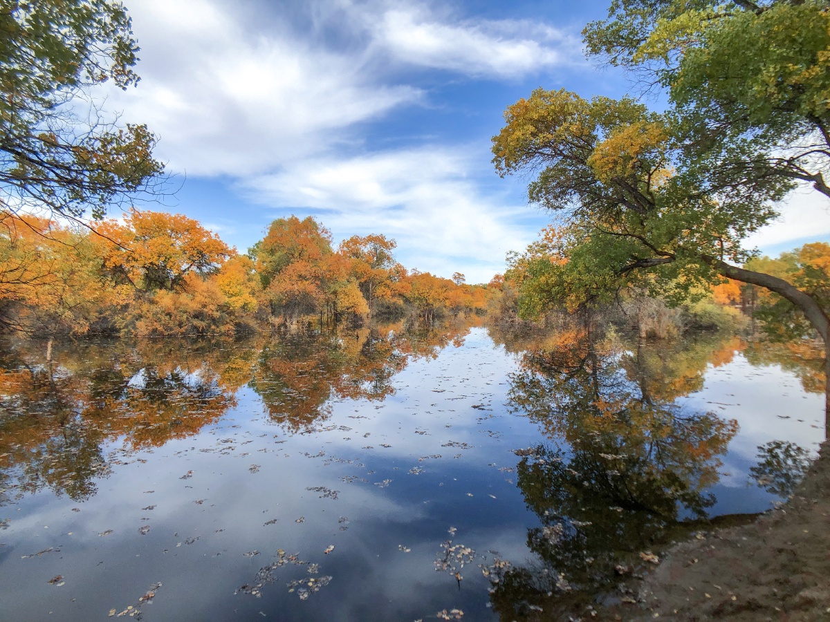 沙漠绿洲photobyiphone8plus