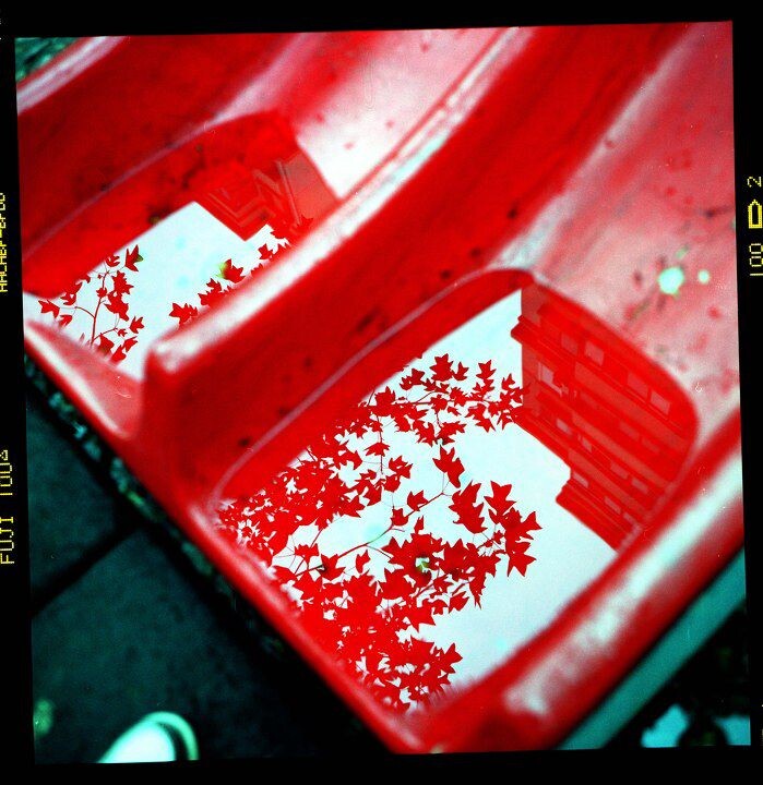 雨后<br />
Rolleiflex 3.5f  