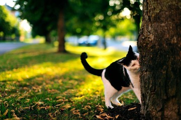_DSC0815