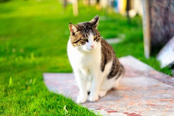 _DSC8955