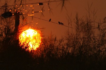 IMG_8167_.jpg