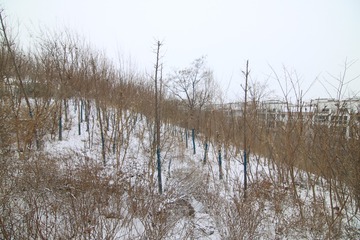374648
