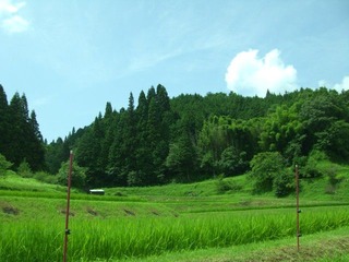 石津川