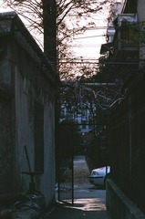 63040007.JPG