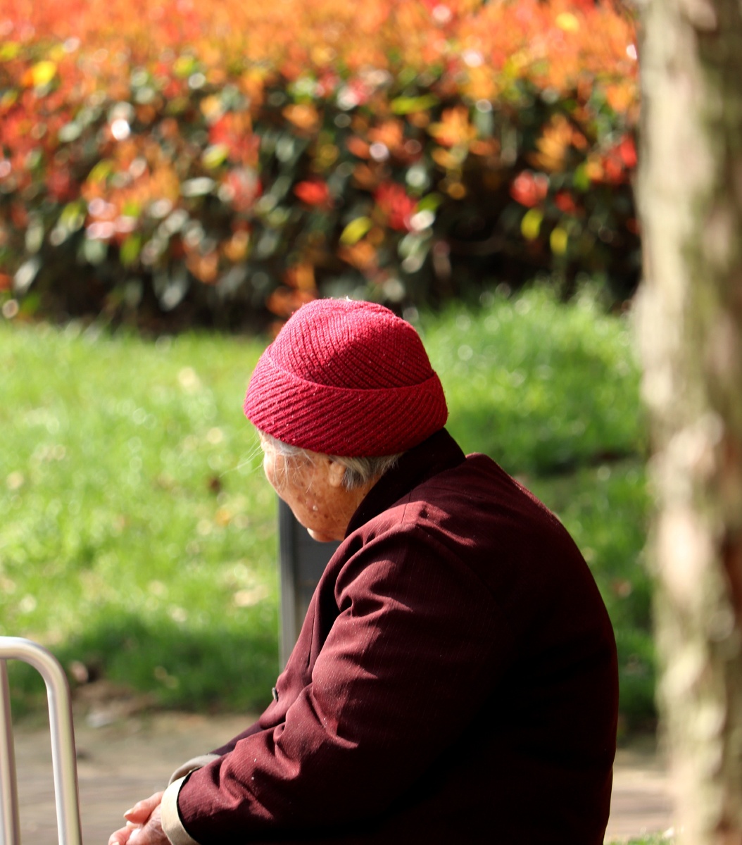 春日暖阳之休憩时光