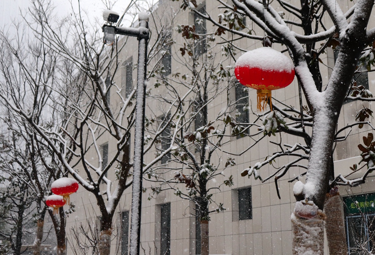 这场大雪正值鼠年春节,大红灯笼在白雪的映衬下格外醒目,抓拍分享.